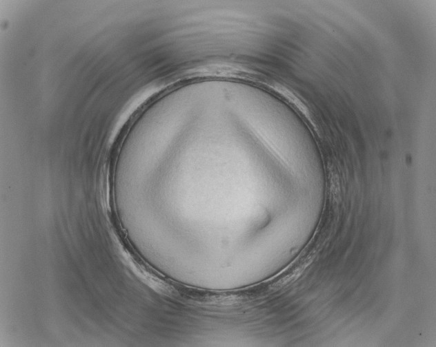 X0000078231131200611251207