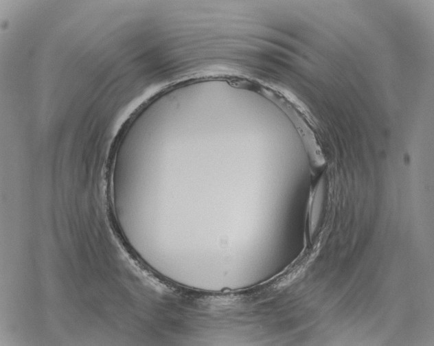 X0000078231134200611251207