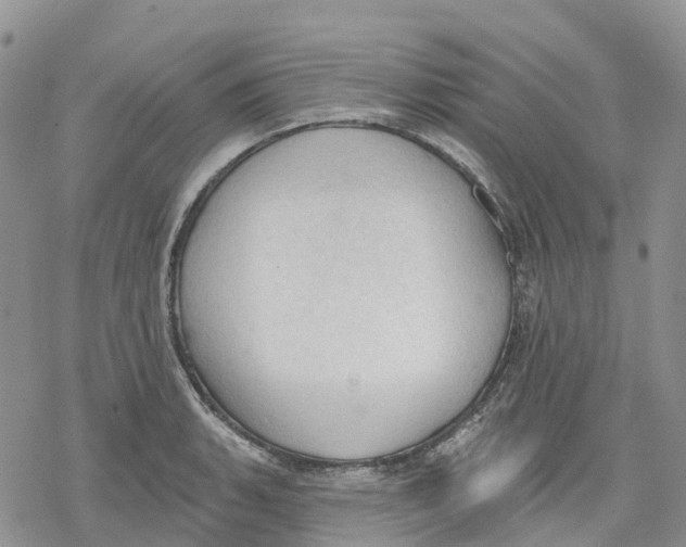 X0000078231135200611251207