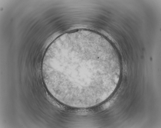 X0000078231137200611251207