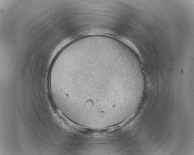 X0000078231138200611251207