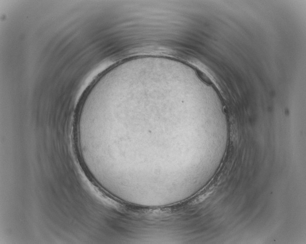 X0000078231139200611251207