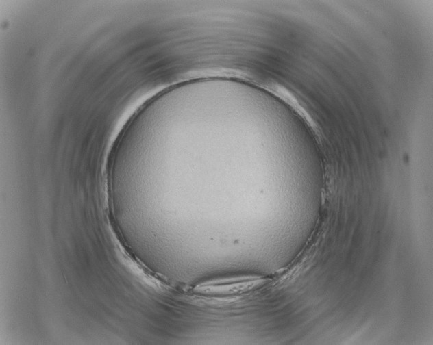 X0000078231140200611251207