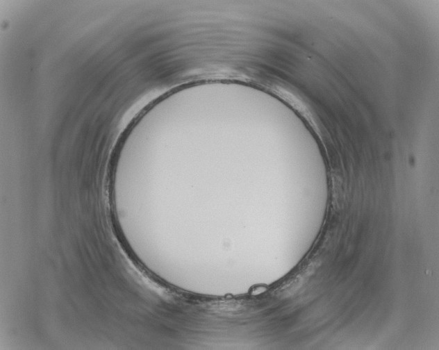 X0000078231141200611251207