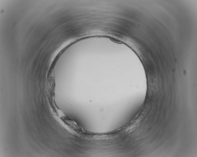 X0000078231142200611251207