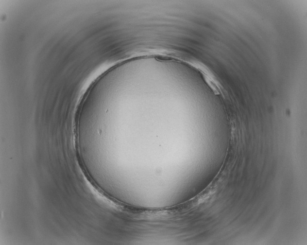 X0000078231143200611251207