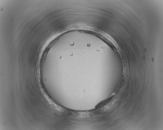 X0000078231144200611251207