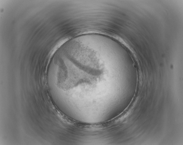 X0000078231145200611251208