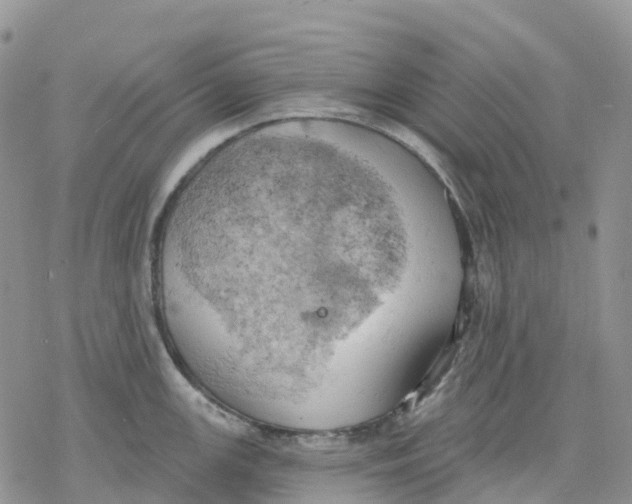 X0000078231147200611251208