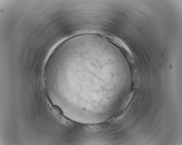 X0000078231148200611251208