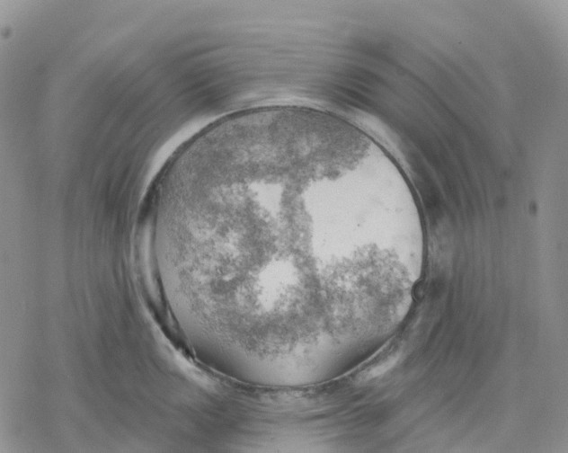 X0000078231149200611251208