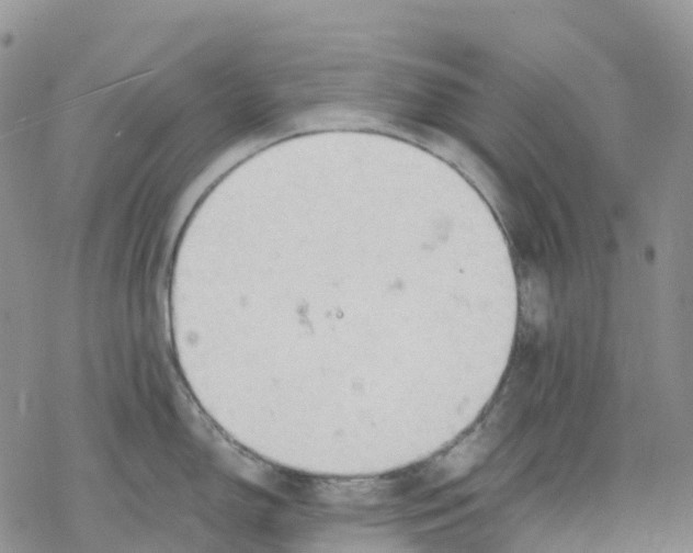 X0000078231150200611251208