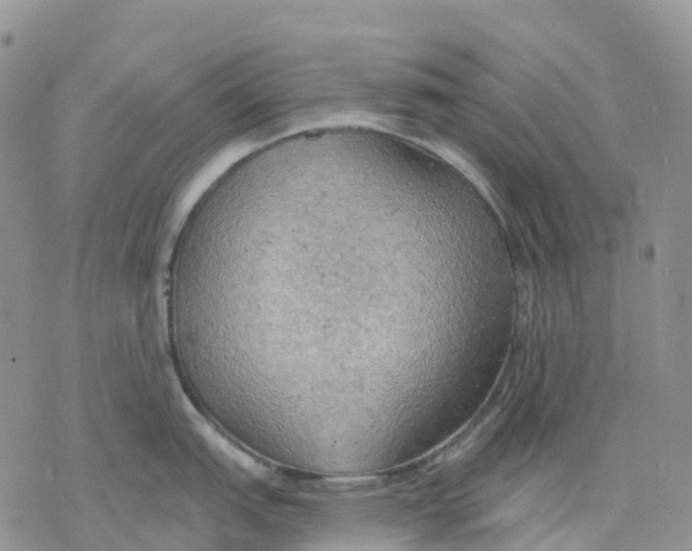 X0000078231151200611251208