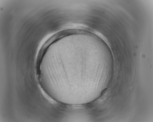 X0000078231152200611251208