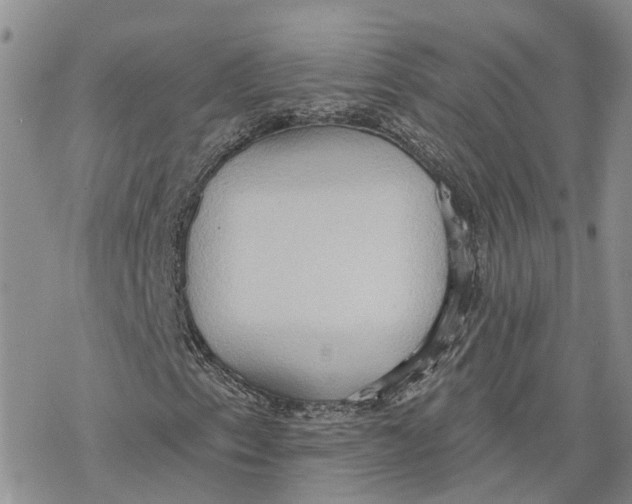 X0000078231153200611251207