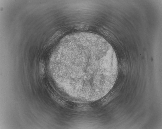 X0000078231154200611251207