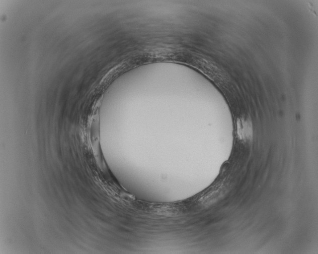 X0000078231155200611251207