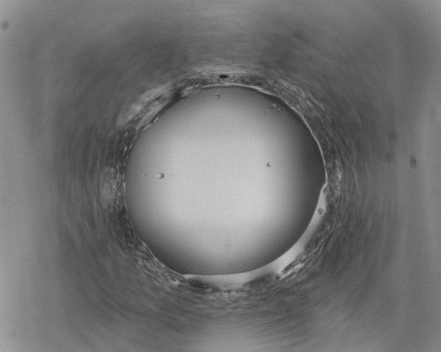 X0000078231157200611251207