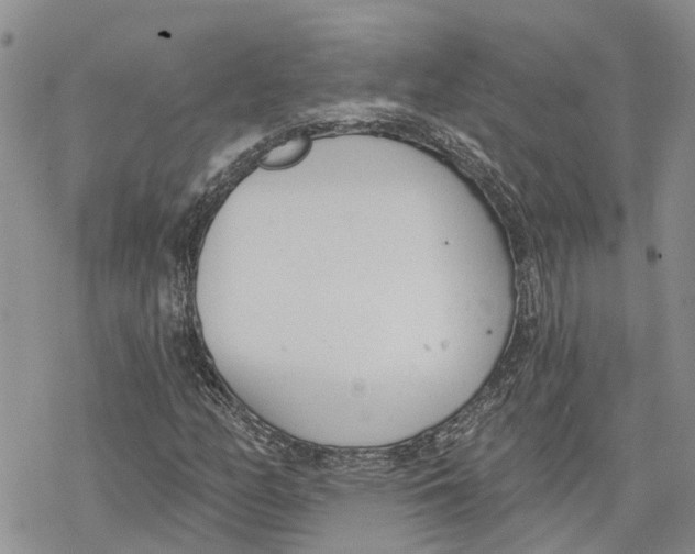 X0000078231158200611251207