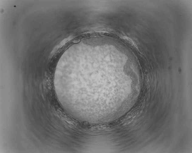 X0000078231159200611251207