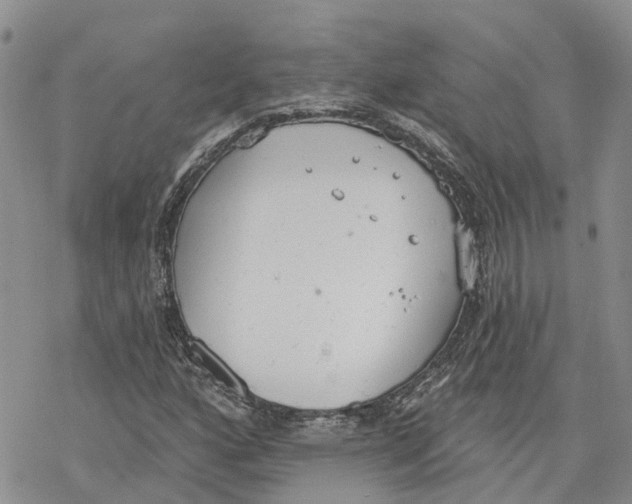 X0000078231160200611251207