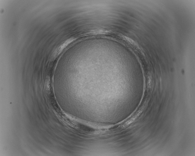 X0000078231161200611251207