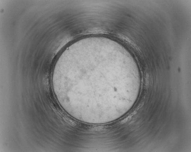 X0000078231162200611251207