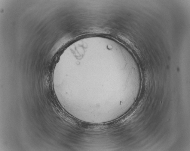 X0000078231163200611251207