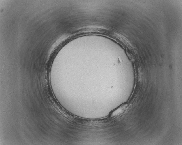 X0000078231164200611251207