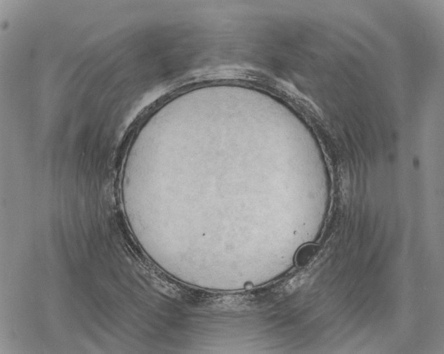 X0000078231166200611251207