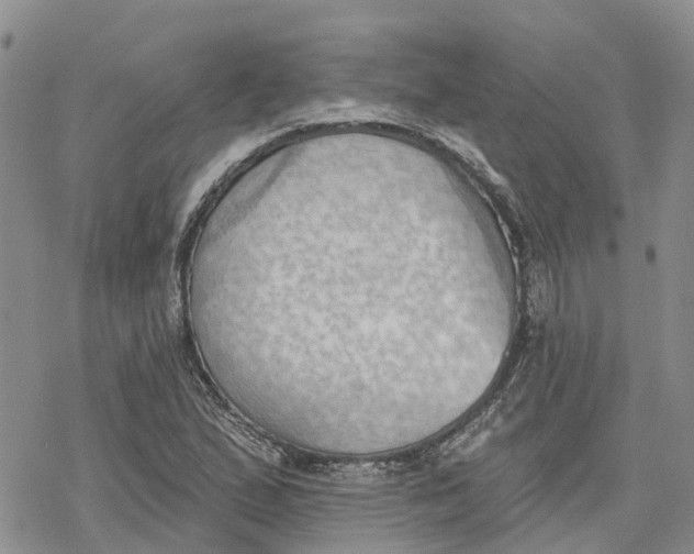 X0000078231167200611251207