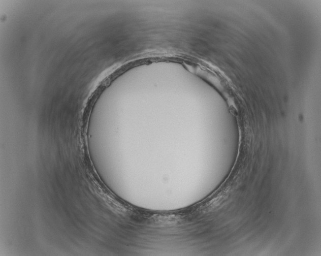 X0000078231168200611251207