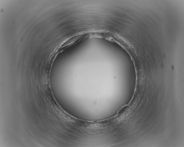 X0000078231169200611251207