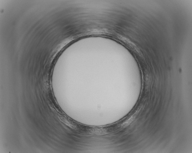 X0000078231170200611251207