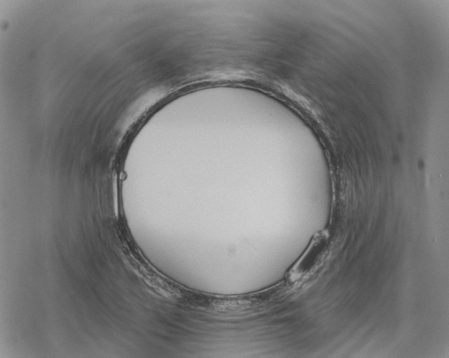 X0000078231171200611251207