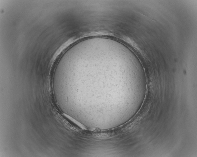 X0000078231173200611251207