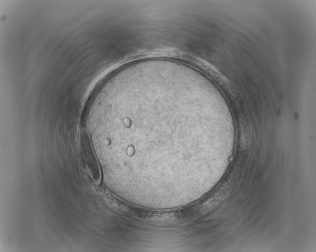 X0000078231174200611251207