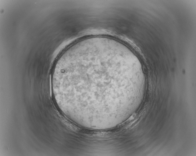 X0000078231175200611251206