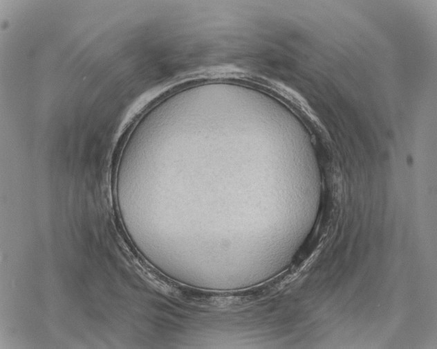 X0000078231176200611251206