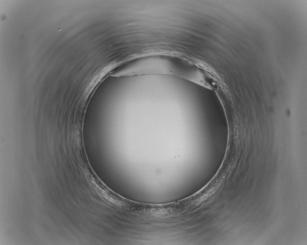 X0000078231177200611251206