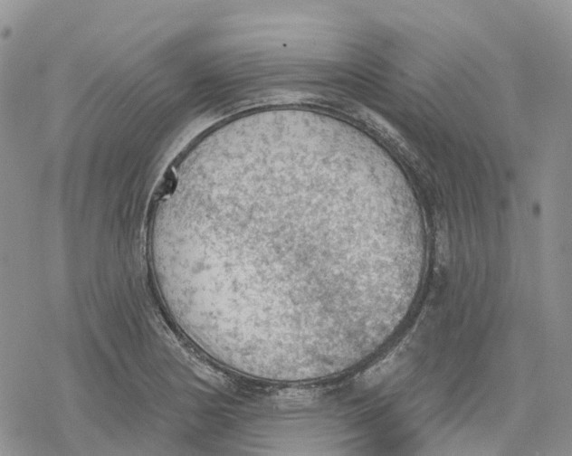 X0000078231178200611251206