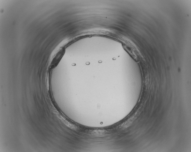 X0000078231180200611251206