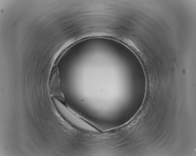 X0000078231181200611251206