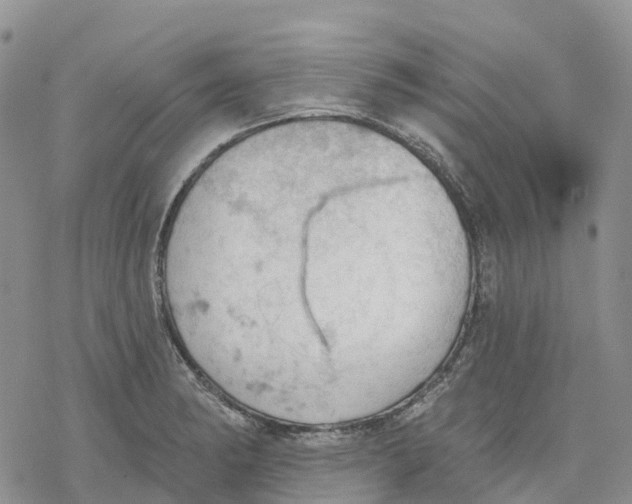 X0000078231182200611251206