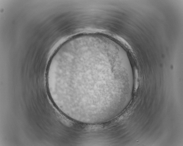 X0000078231183200611251206