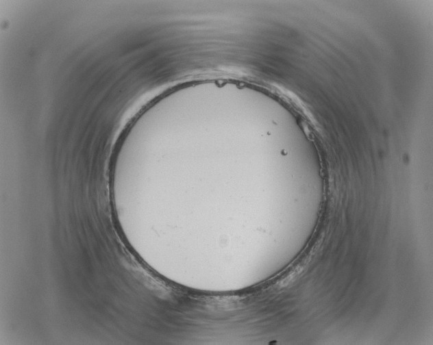 X0000078231184200611251206