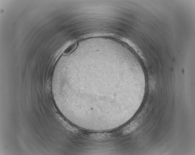 X0000078231185200611251206