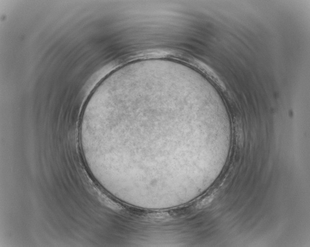 X0000078231186200611251206