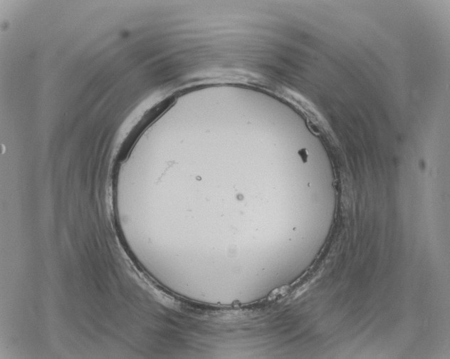 X0000078231188200611251206