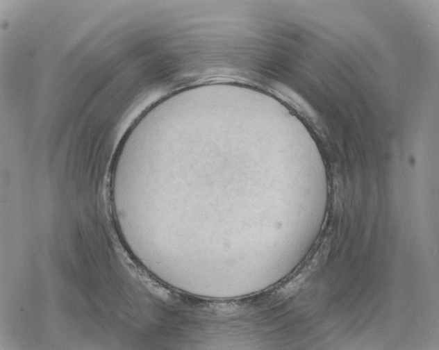 X0000078231190200611251206